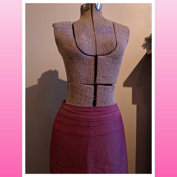 The Limited Skirt - Picture 3 of 8